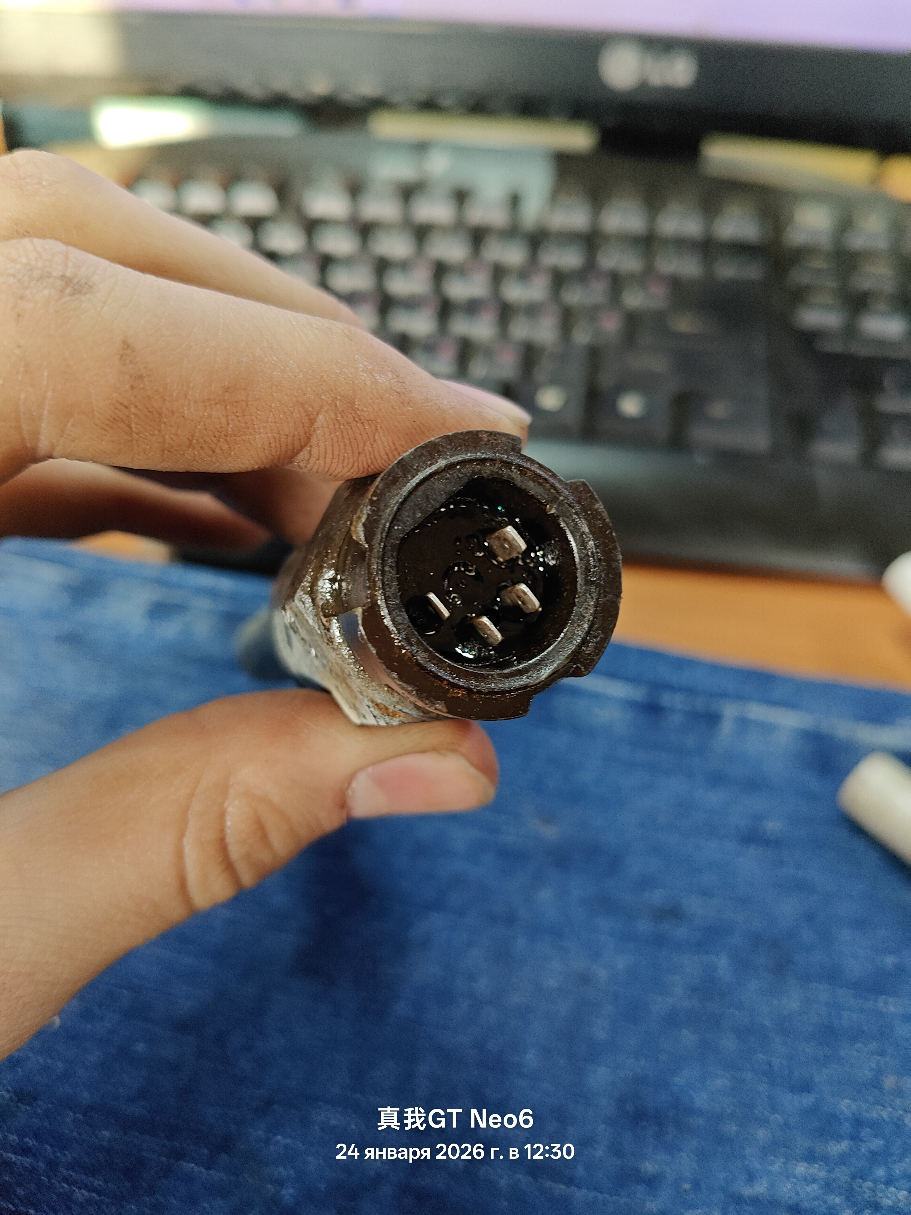 датчик кпп скорости 215950004202 0501208795 4854770 0361799 5001838107 Q83219999830 215950 81274210135 даф ивеко ман мерседес вольво скания